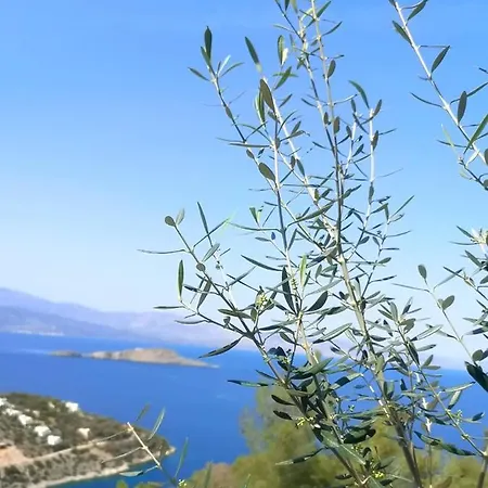 Iokasti Сasa de vacaciones Pefkali
