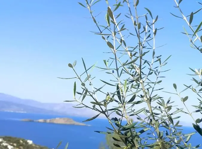 Iokasti Casa de Férias Pefkali